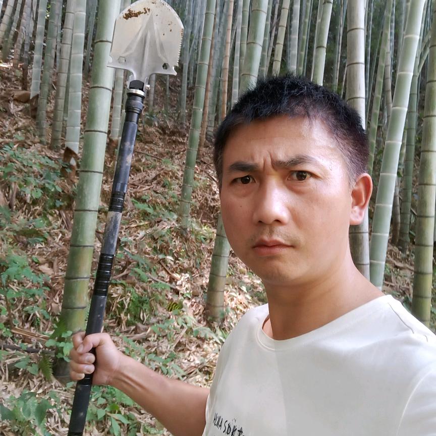 坐站总司令