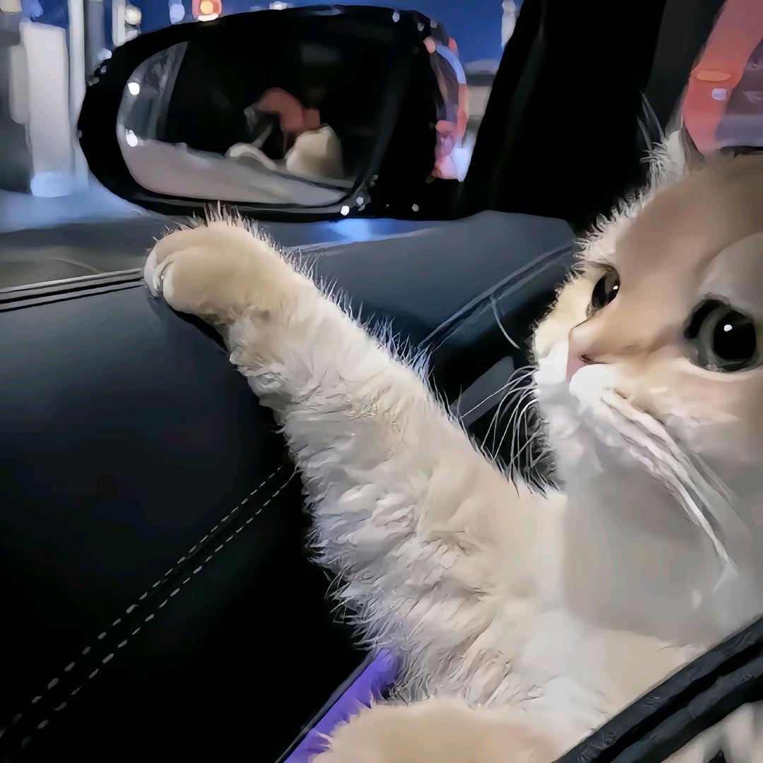 巴音布鲁克的神