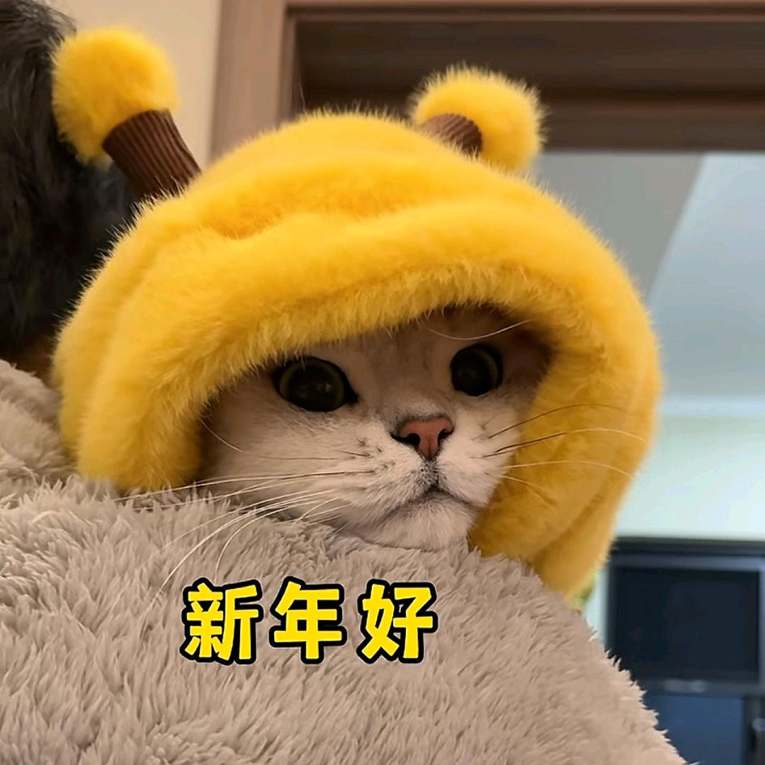 青予