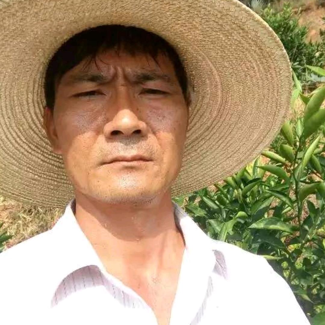 光明田园犬繁殖场