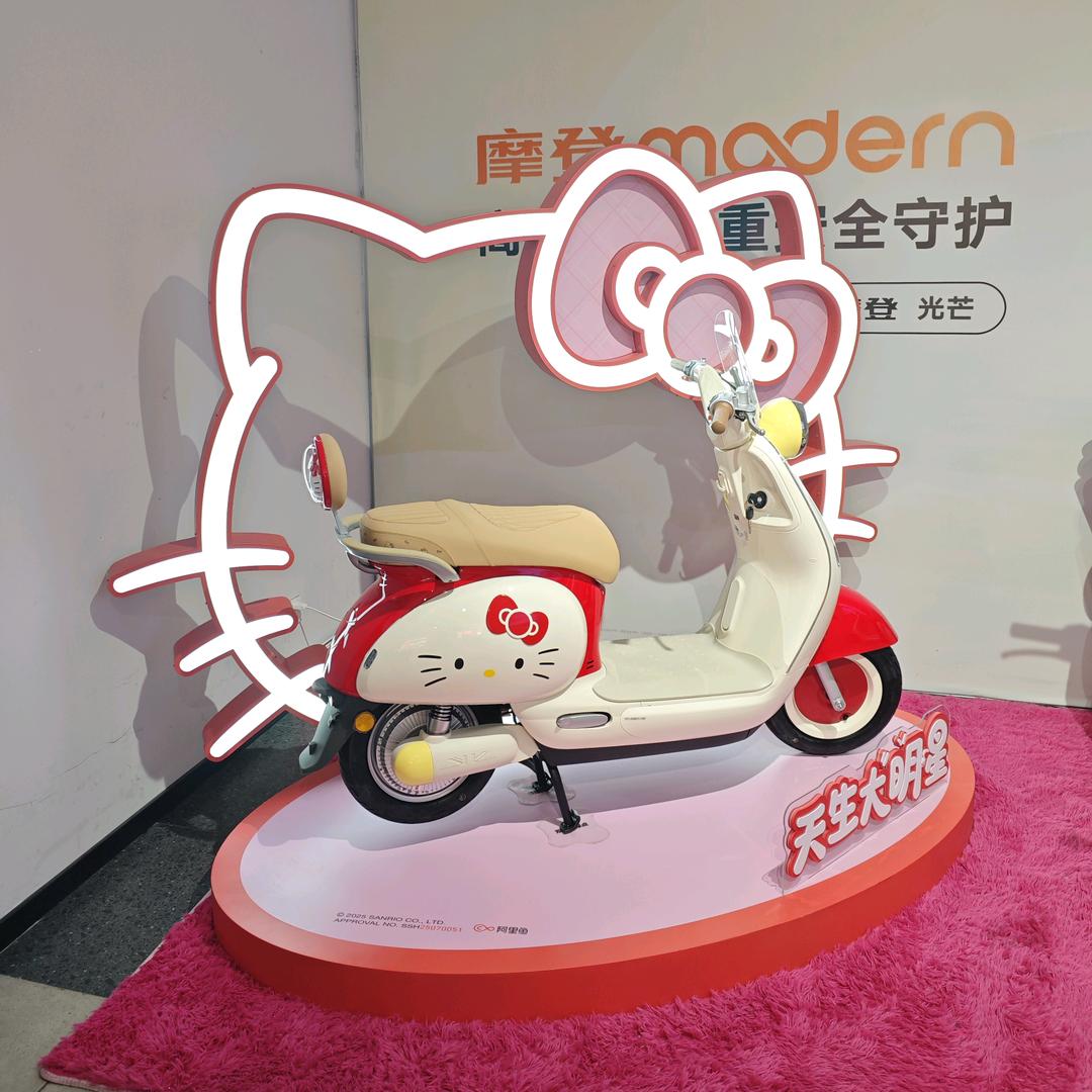 雅迪电动车(汉中旗舰店)专用号