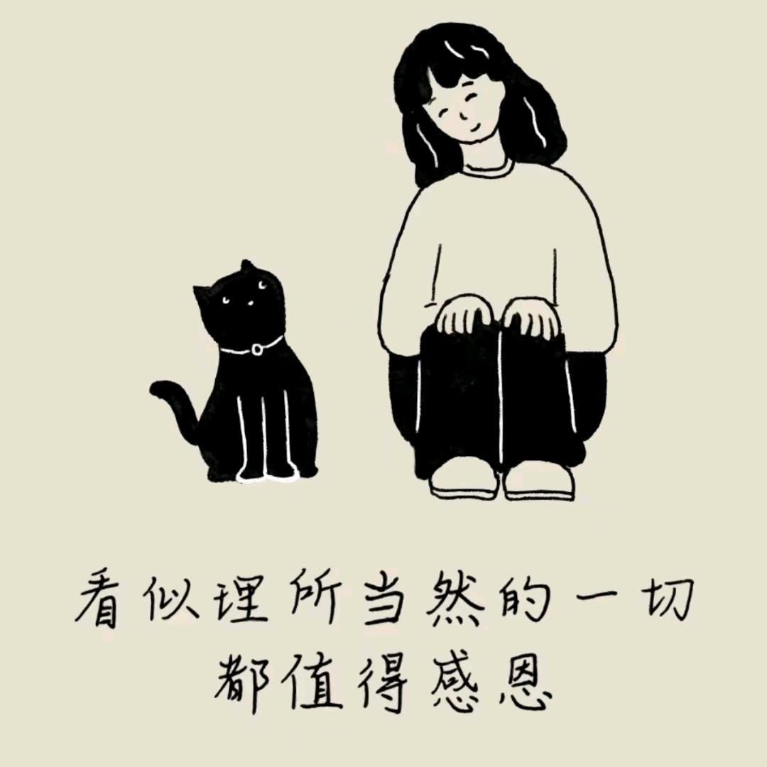 随心