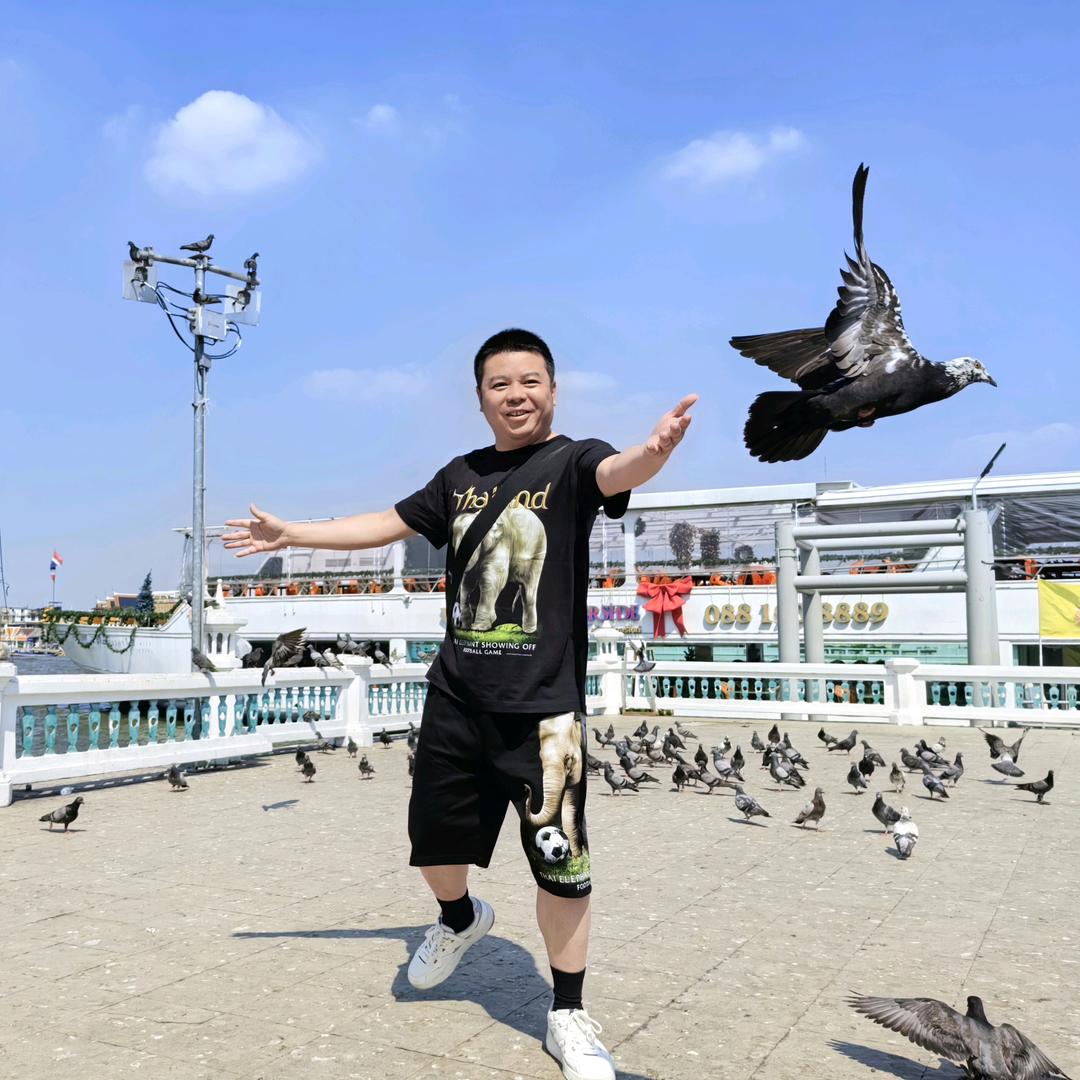 陈年网事