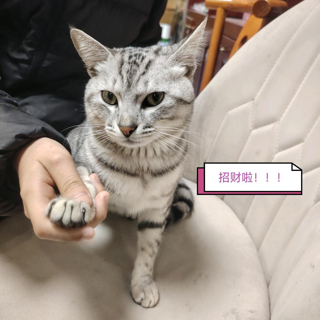 阿飞精选翡翠珠宝