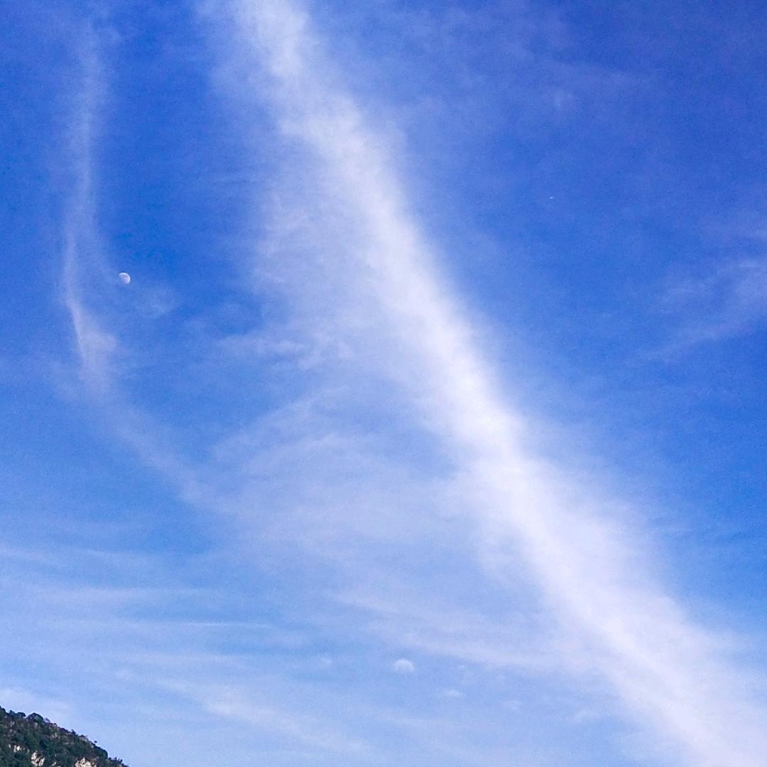 1个人的春天🚶‍♂️