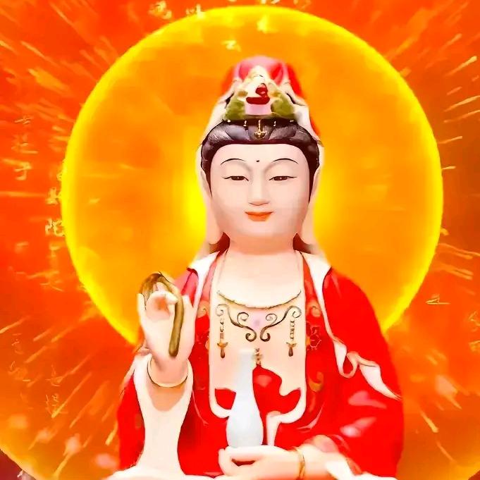 $小财神$团团爸爸🍎🍏🚀