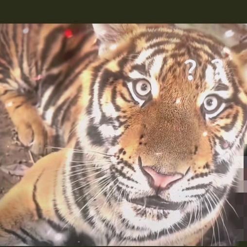 想你、原来可以那么简单