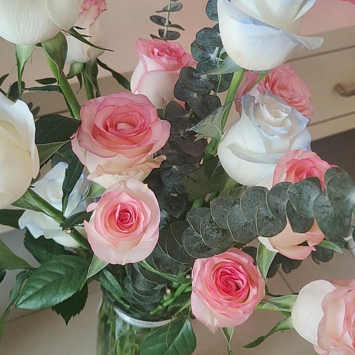 奋斗的小娘子雪