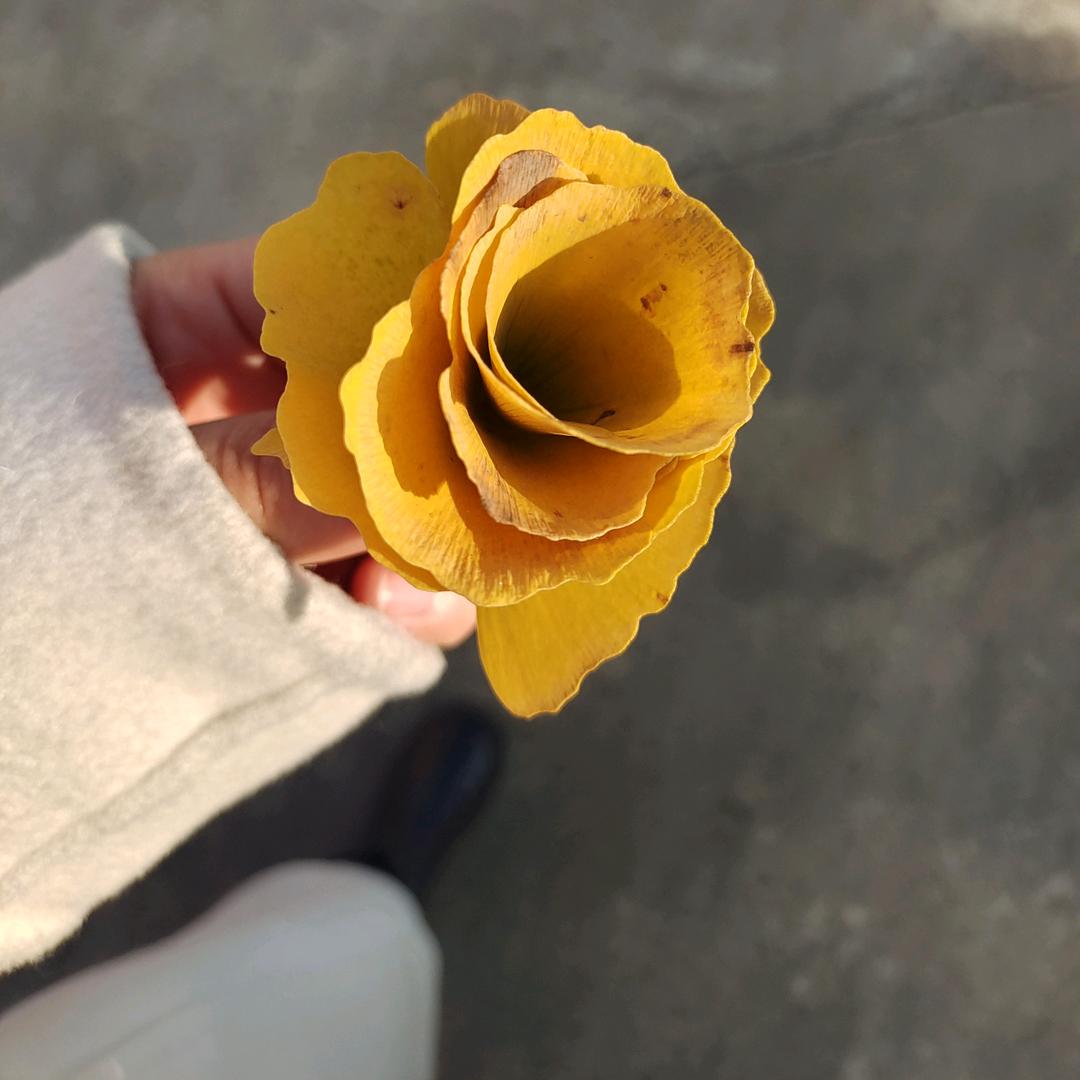 爱吃辣条的小朋友