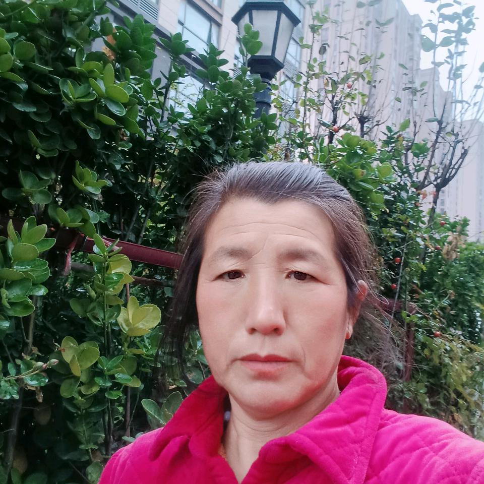 莲花开