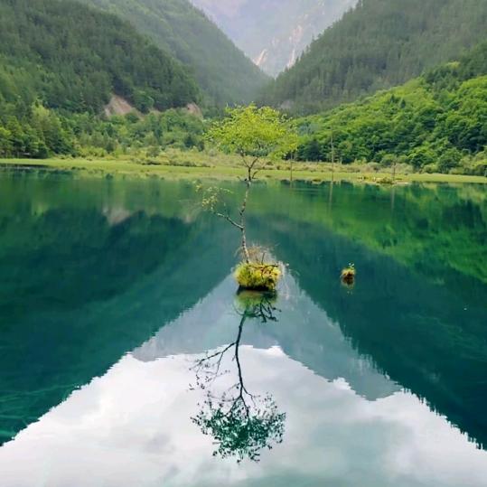 张青华123