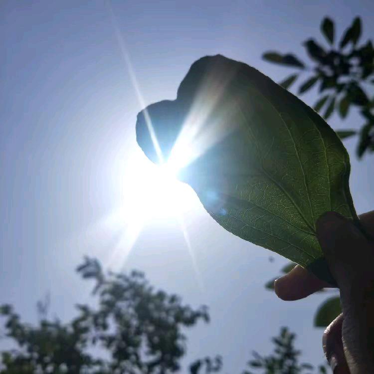 荣荣