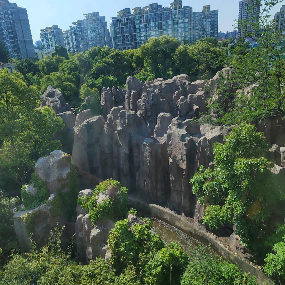 春天来了