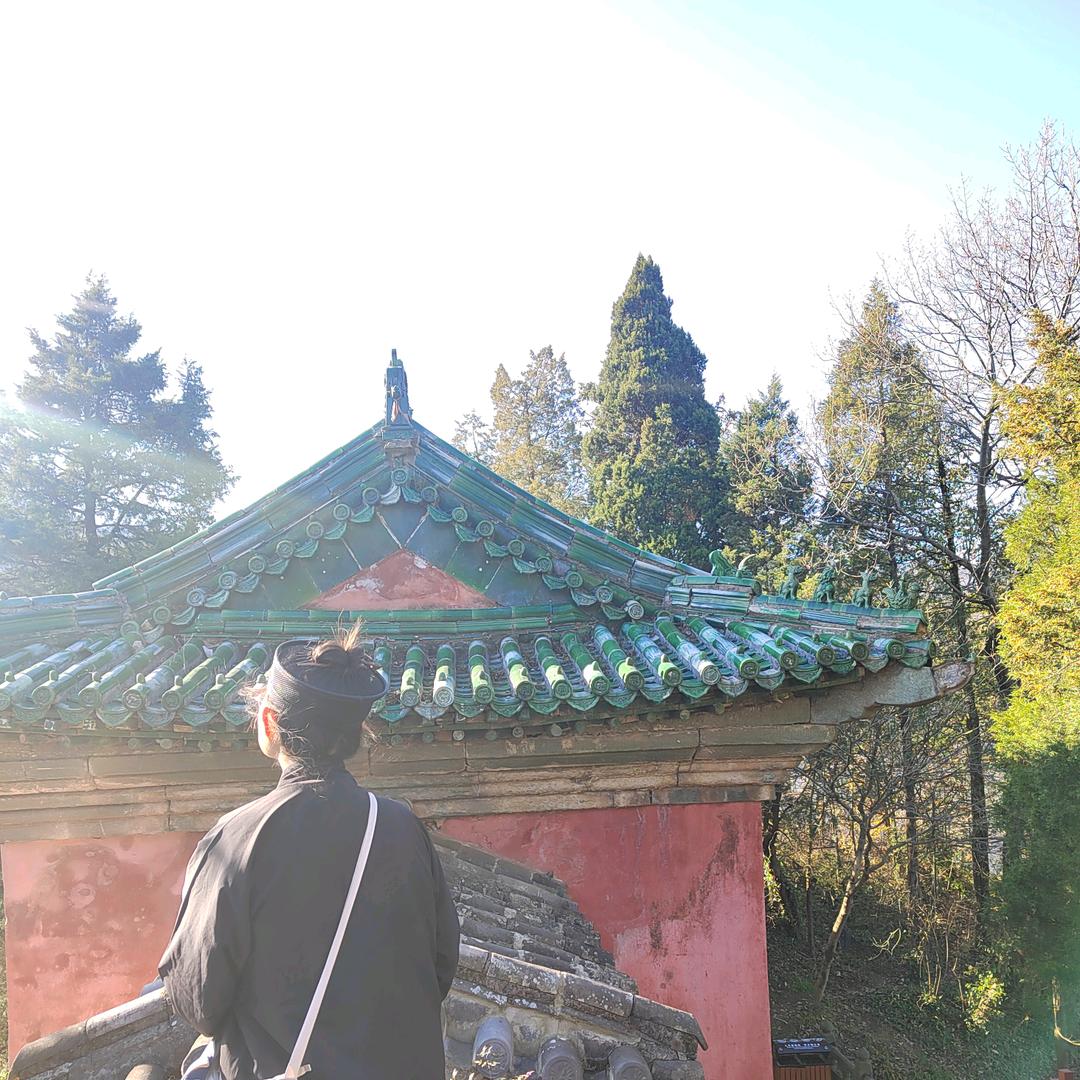 重生之我靠打工养道观