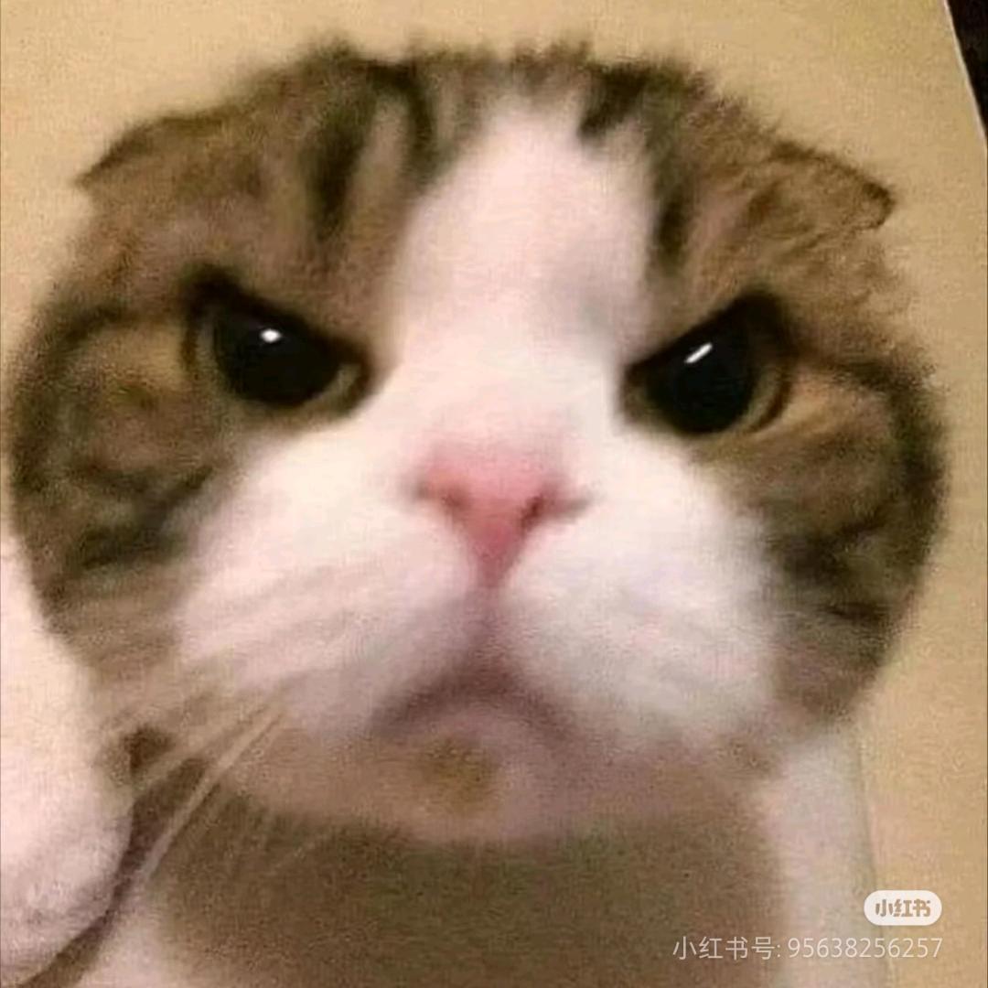 玉玉酱(>_<)