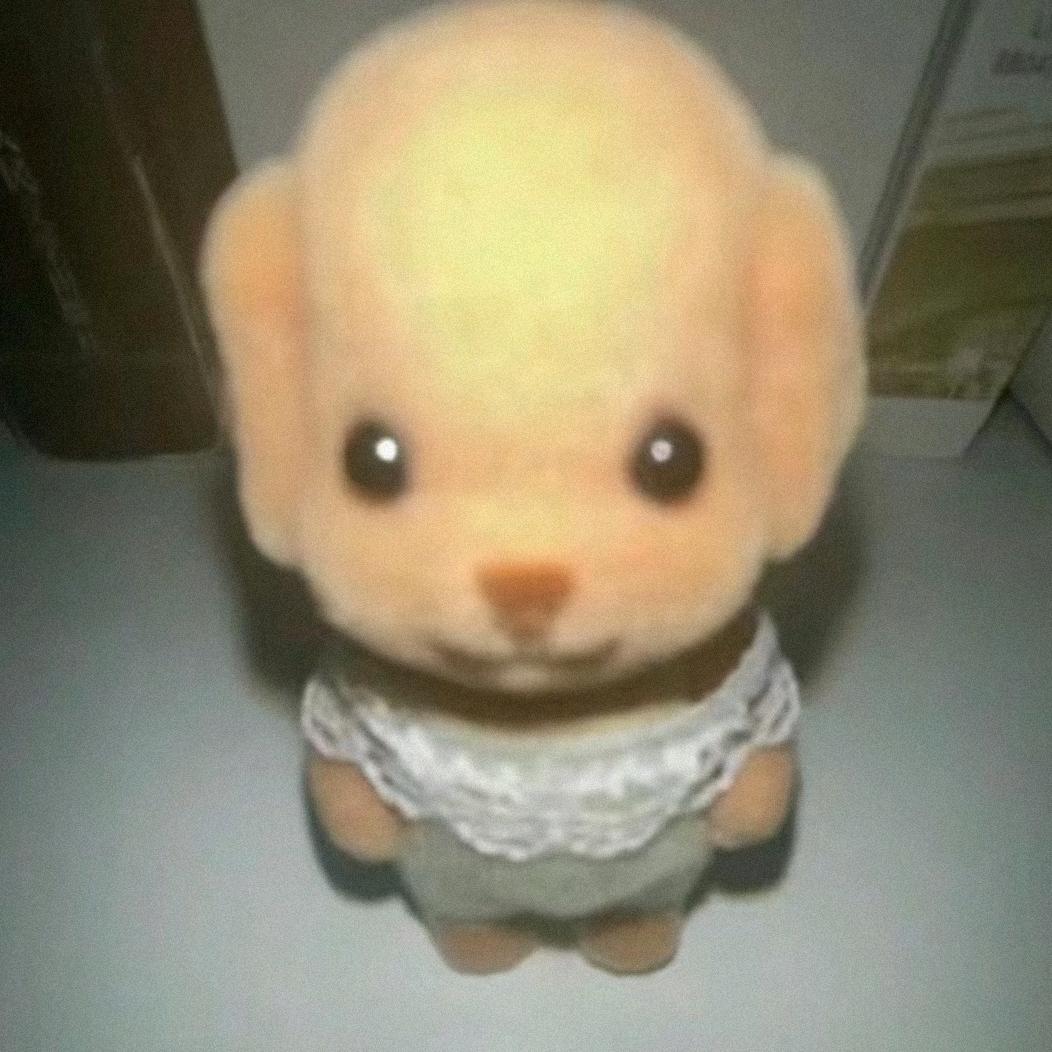 蛟宝