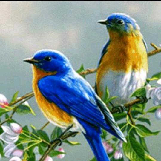 往后余生都是～（你）