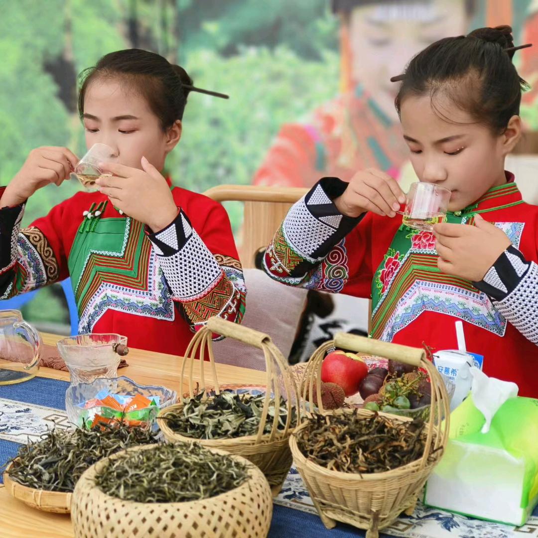 双胞胎君缘