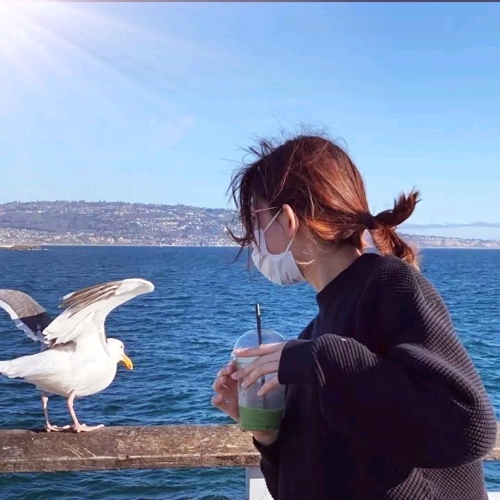 $浅夏&（努力克服自己惰性，自律减肥中）