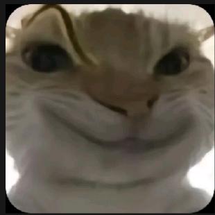 戈壁老王