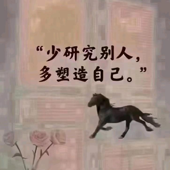 马慧