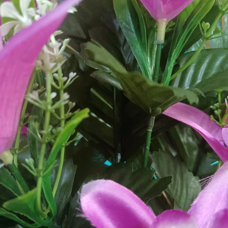 朝芬