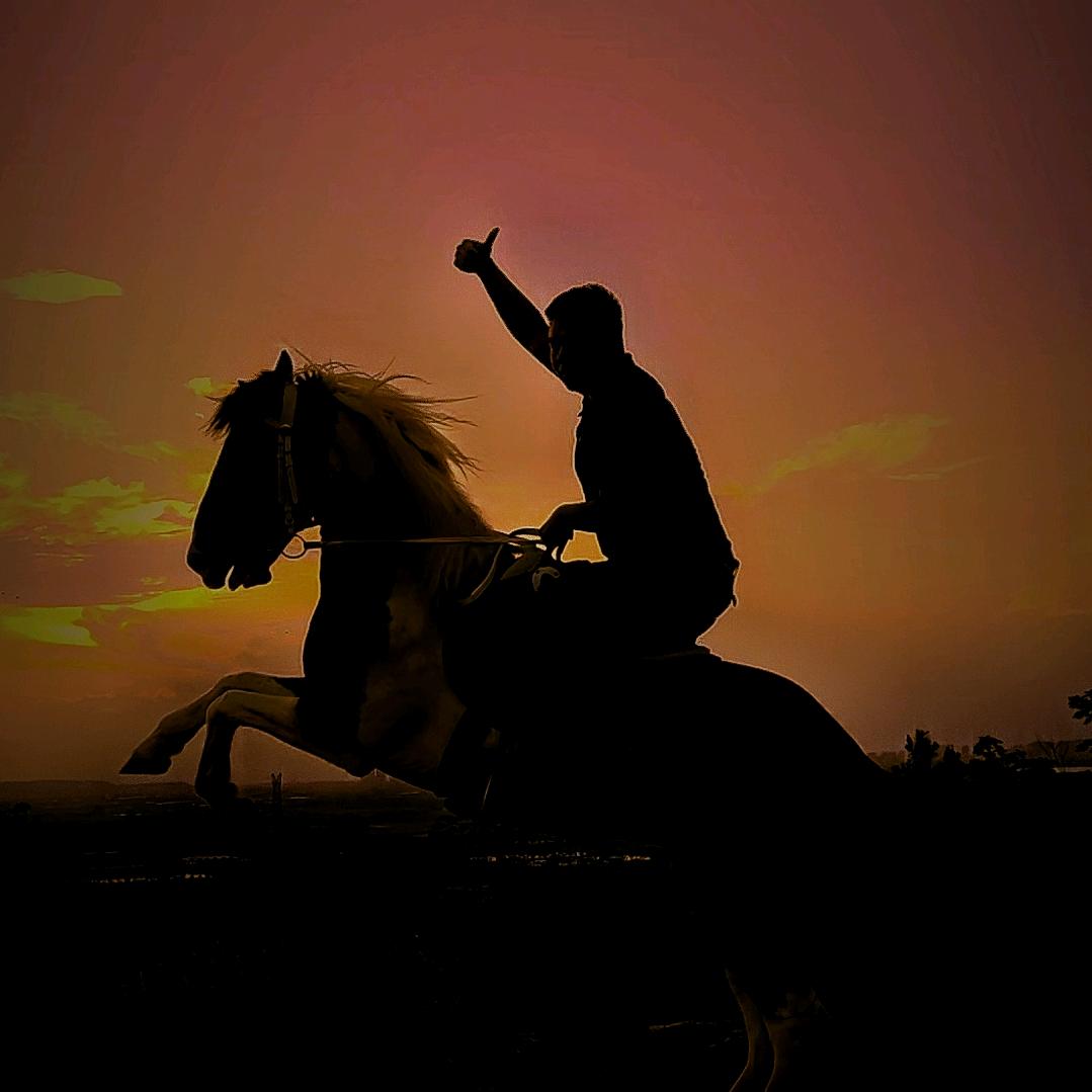 铁骑营马术俱乐部-小赵