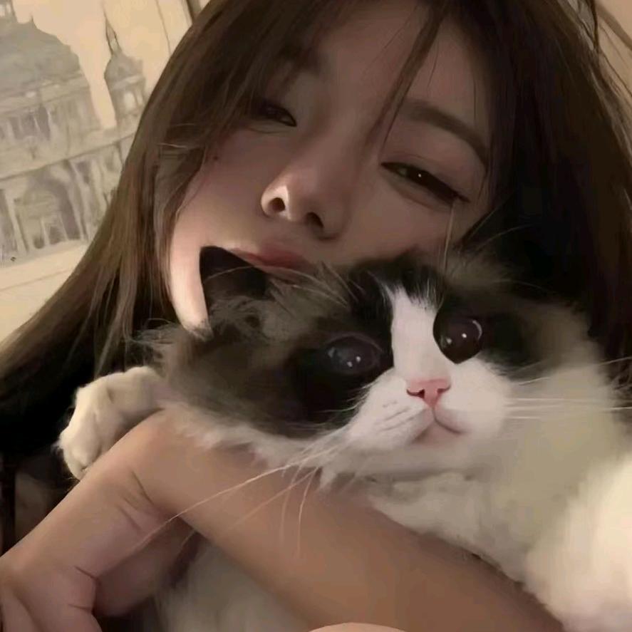 檀沂安