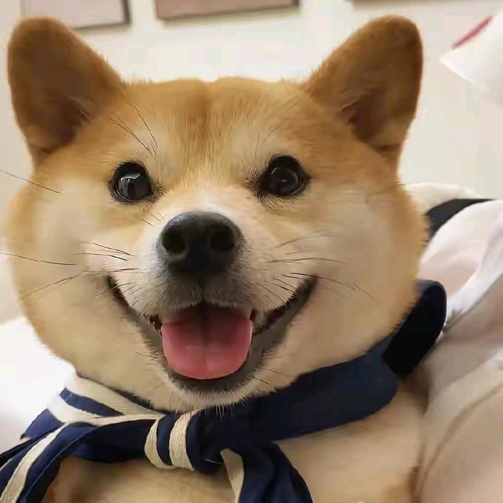 善念