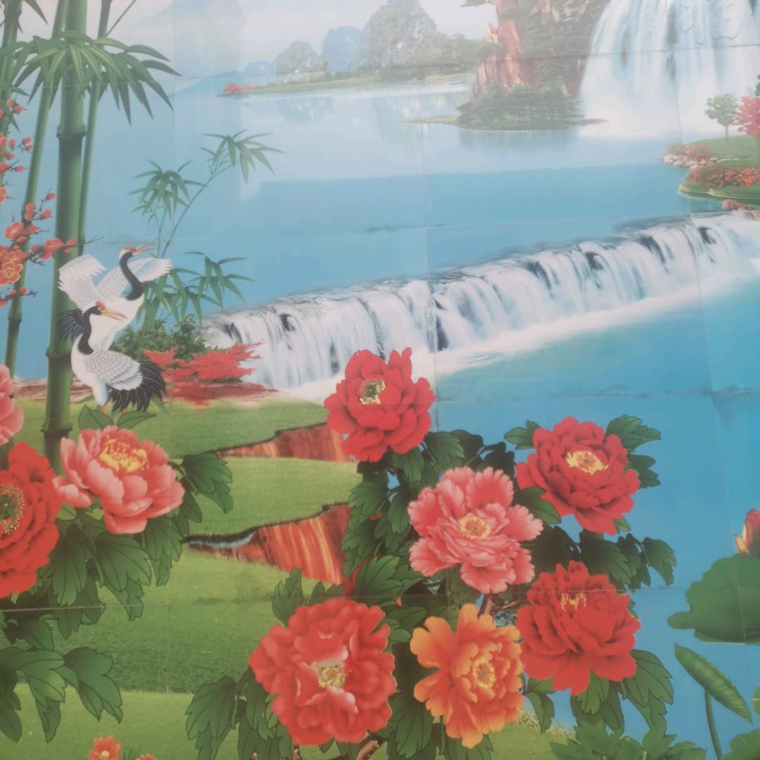 百花齐放