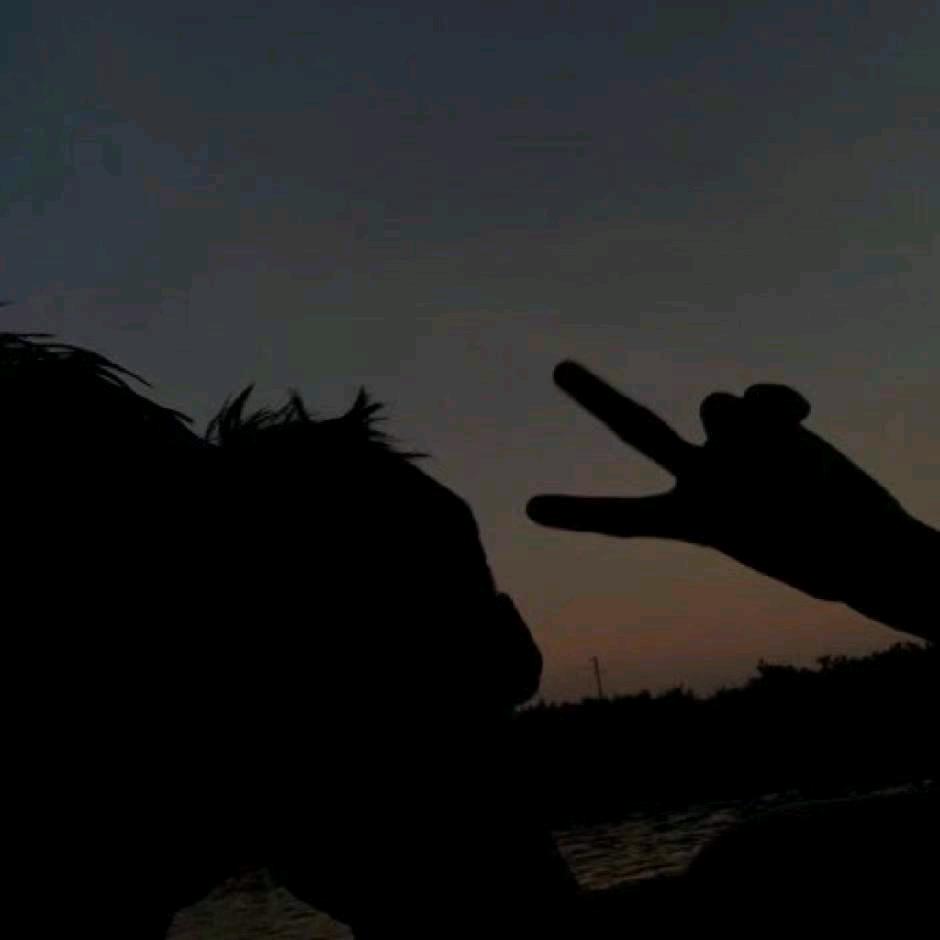 帮大爷看摊的咸鱼