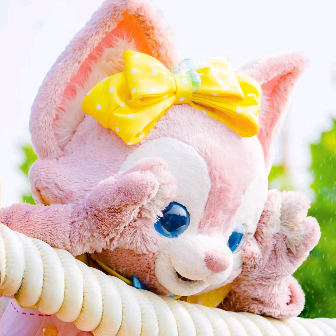 神奇之旅➡️私人订制颖姐