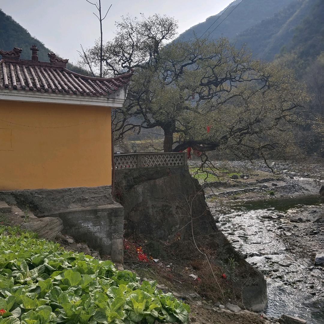 蓝天白云❤️❤️👌🏻