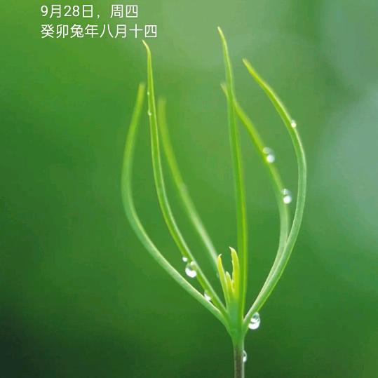 景东风