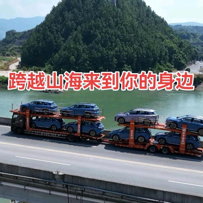 在邢台卖尚界的小蜜蜂