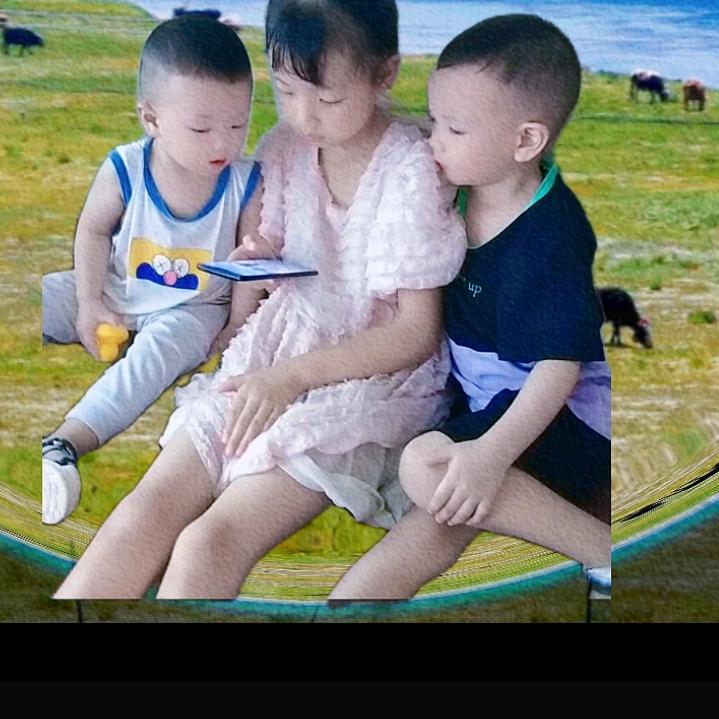 开心果
