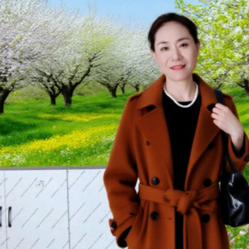 🌻吉星高赵🌻