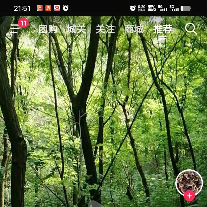 青山綠水