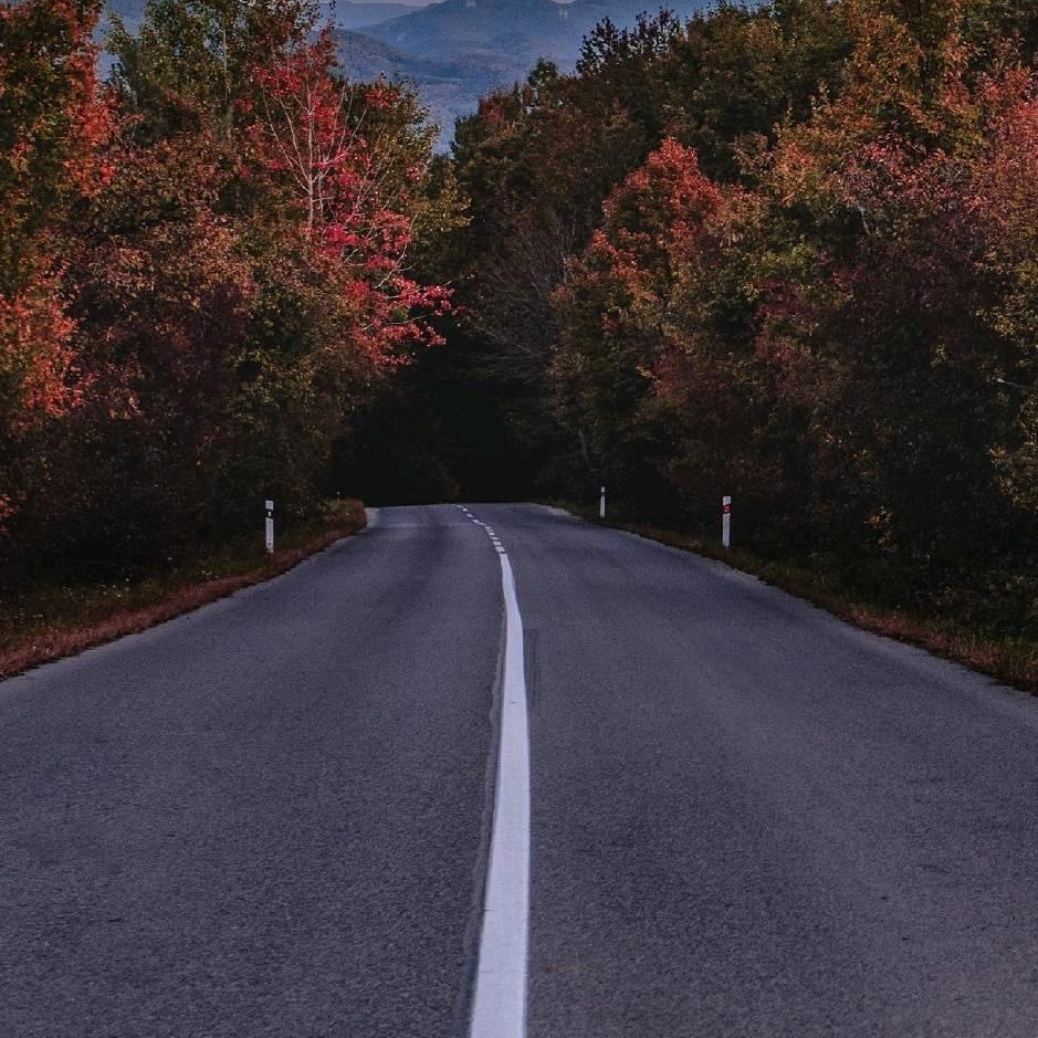 CS0064|再来（自救中）