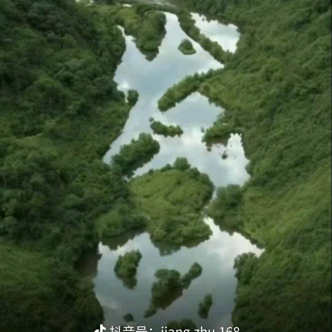 大能耐炸鸡腿(鞍山西道店)专用号