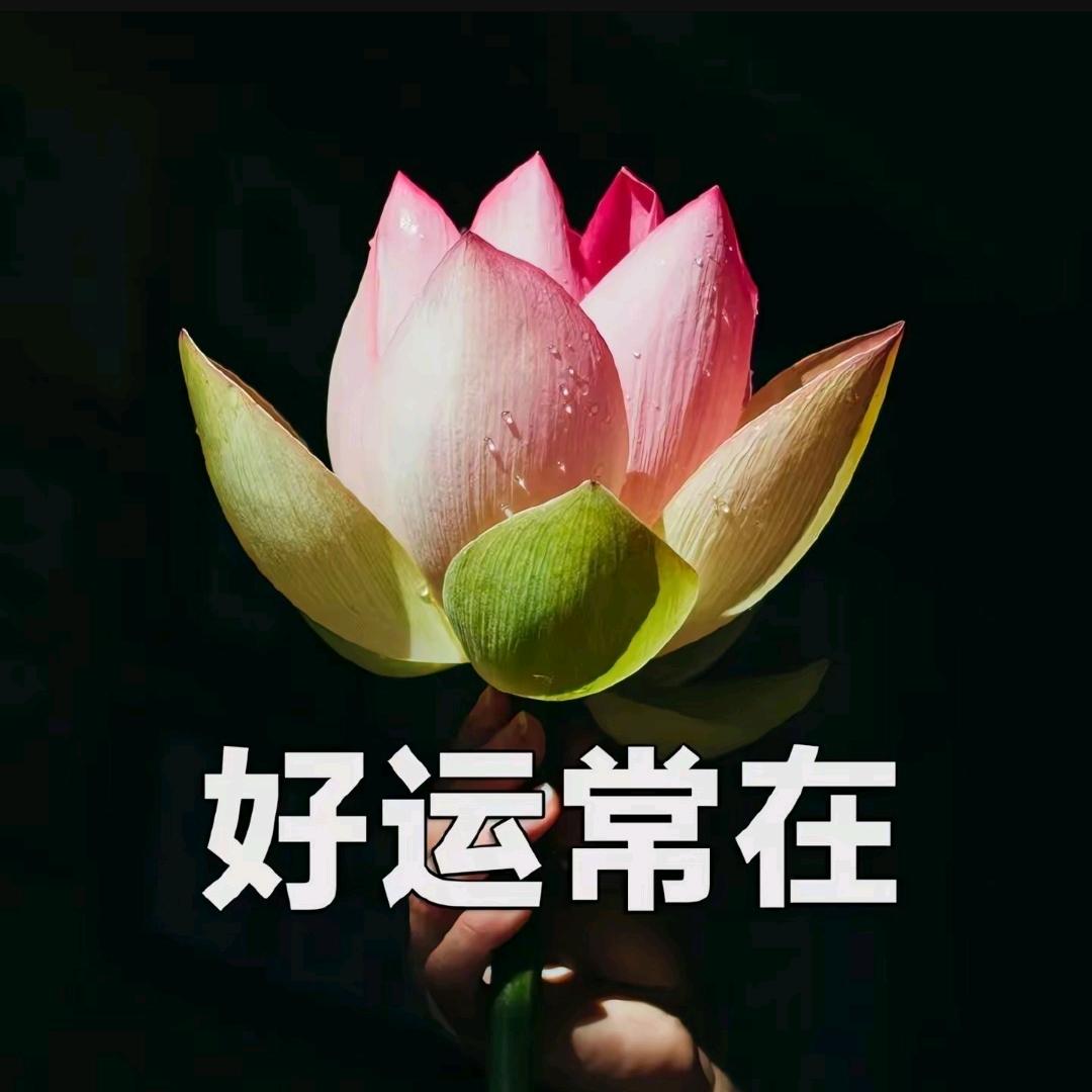 纯情丫头火辣辣