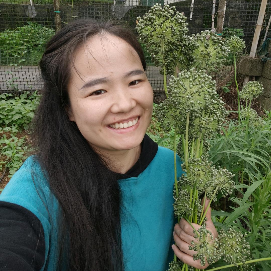自由行走