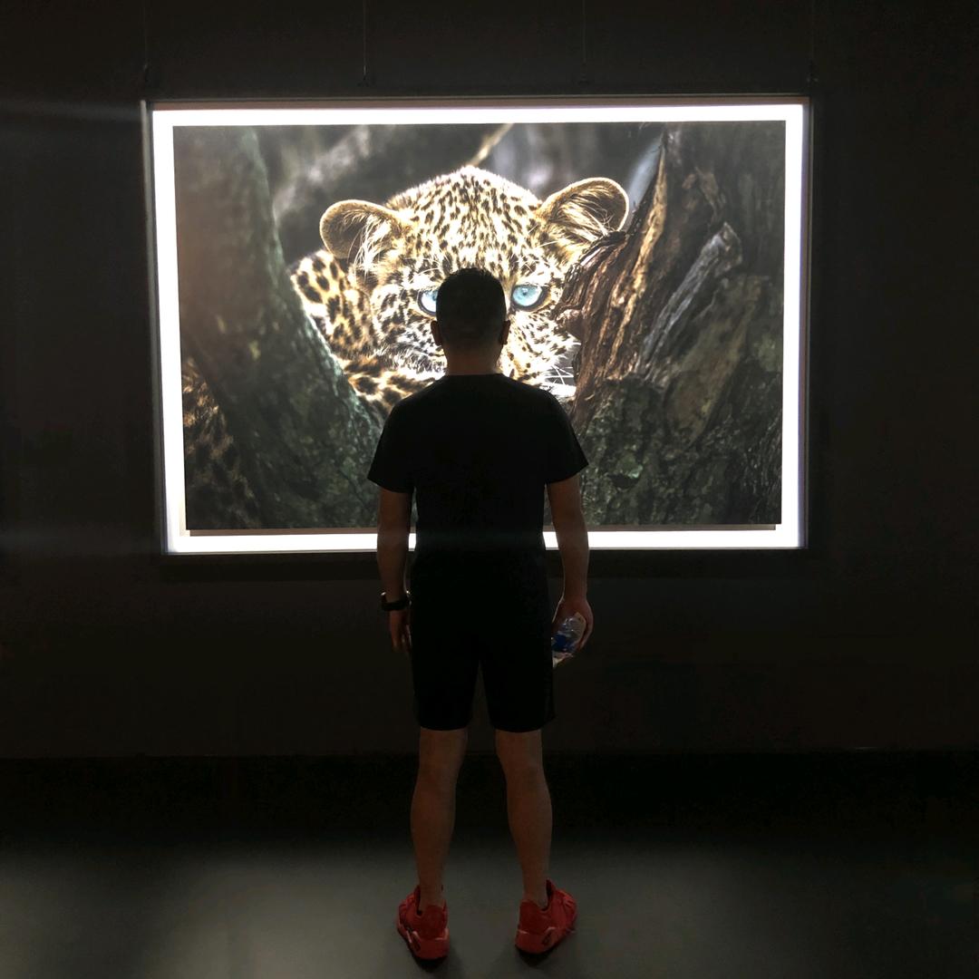 于躍龍門