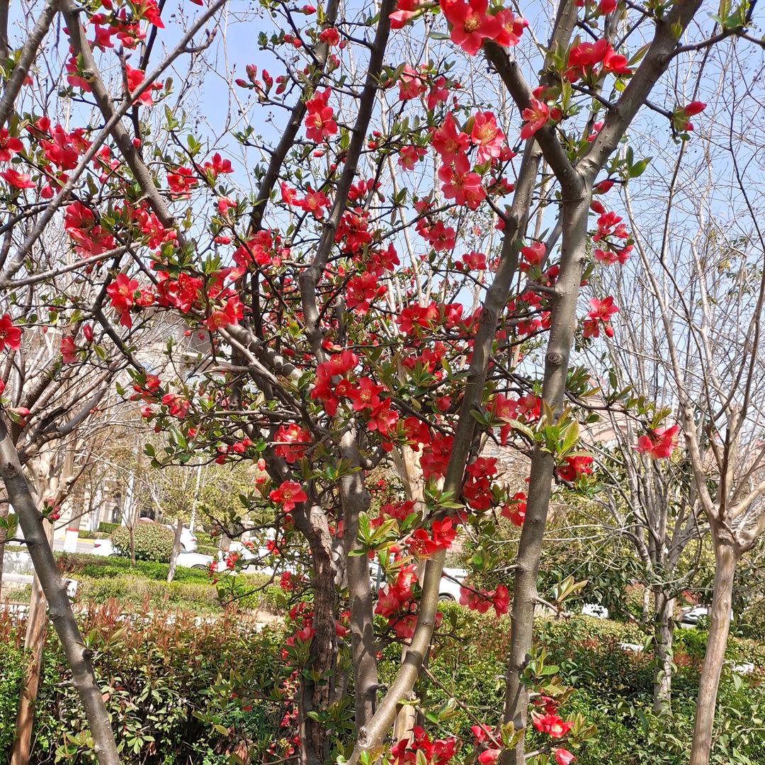 开心快乐每一天