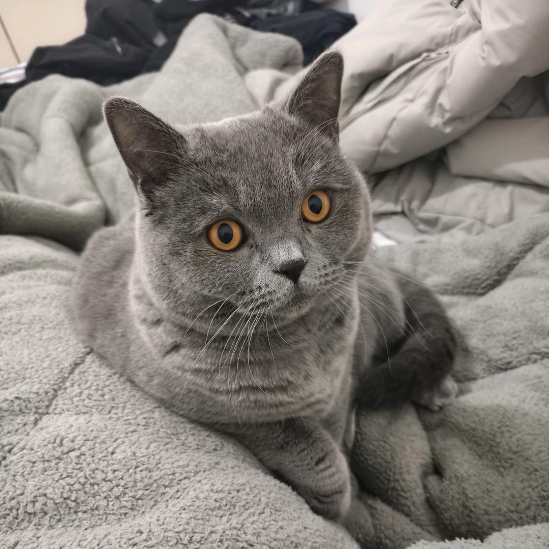 ▶ıı|ıı|ıı|ıı| 521"