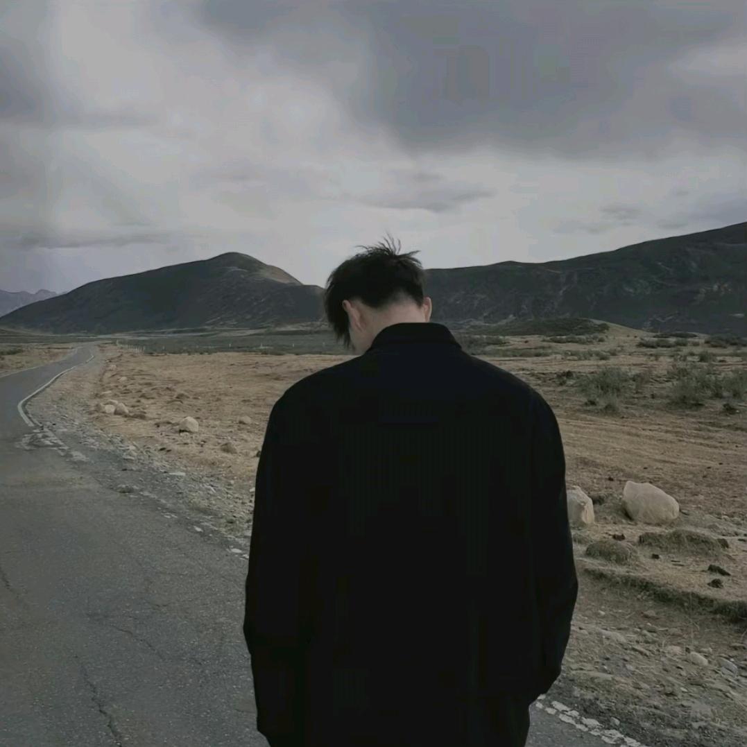 养只小狗🐶叫蛋挞