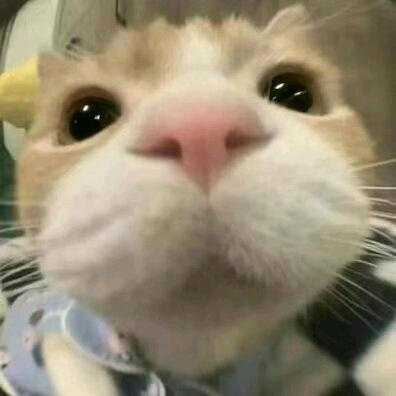 不要失眠