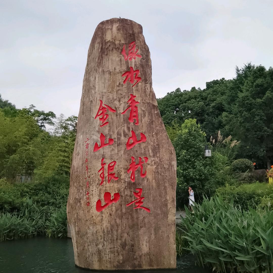 红阳藤