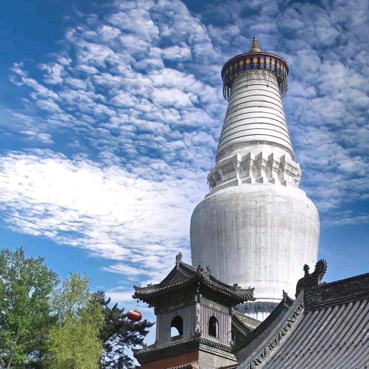长春五台山直通车慧安