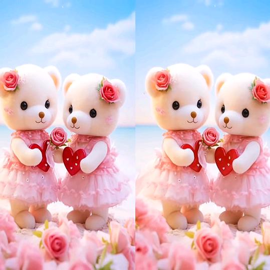 暖男暖❤️XF